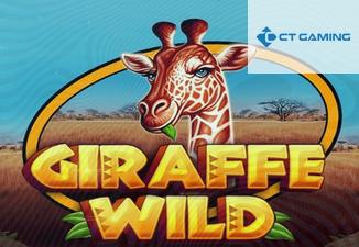 Giraffe Wild